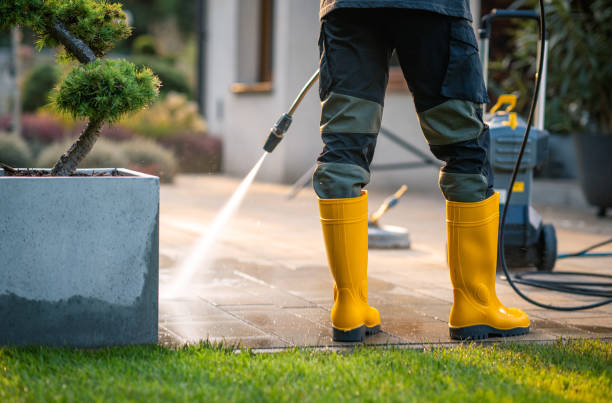 Best Pressure Washing Company Near Me  in Val Verde Park, TX